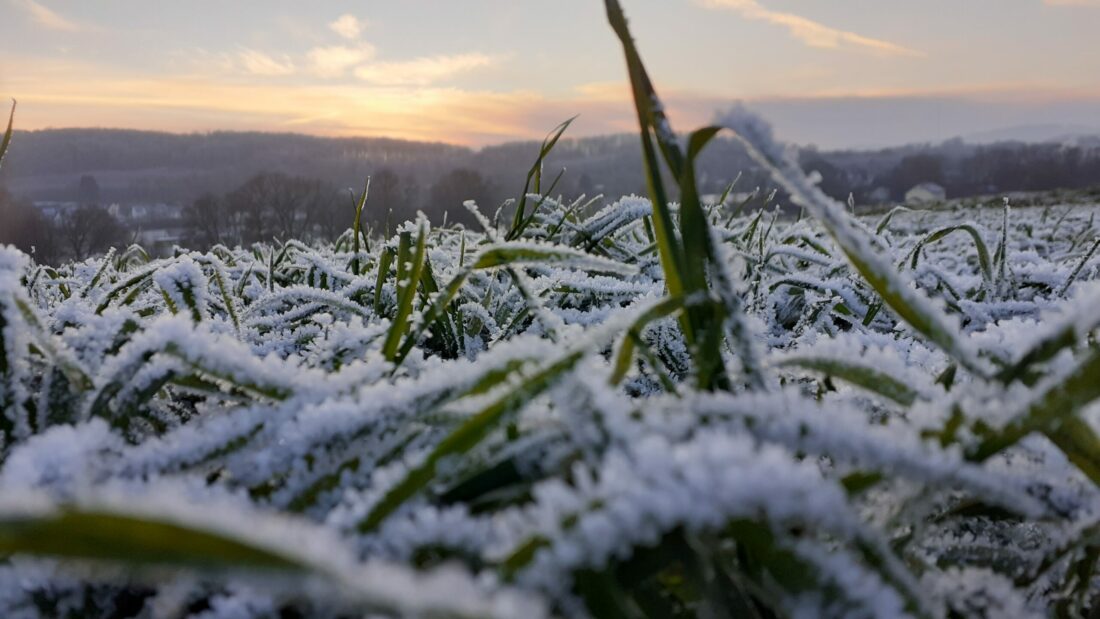 Frostiger Abend - Agrar-Fotopreis Teilnahme und Voting - VEREINIGTE ...