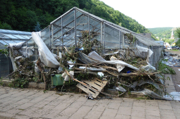 Schäden Gewächshaus