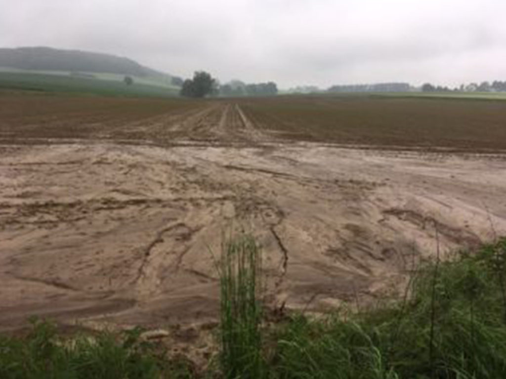 Rund 2.800 Hektar Geschädigt Durch Starkregen Und Hagel - VEREINIGTE ...