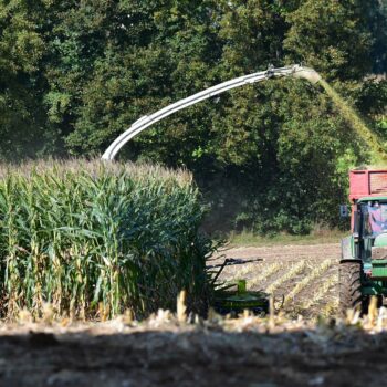 Endspurt bei der Maissilage AgrarFotopreis Teilnahme und Voting