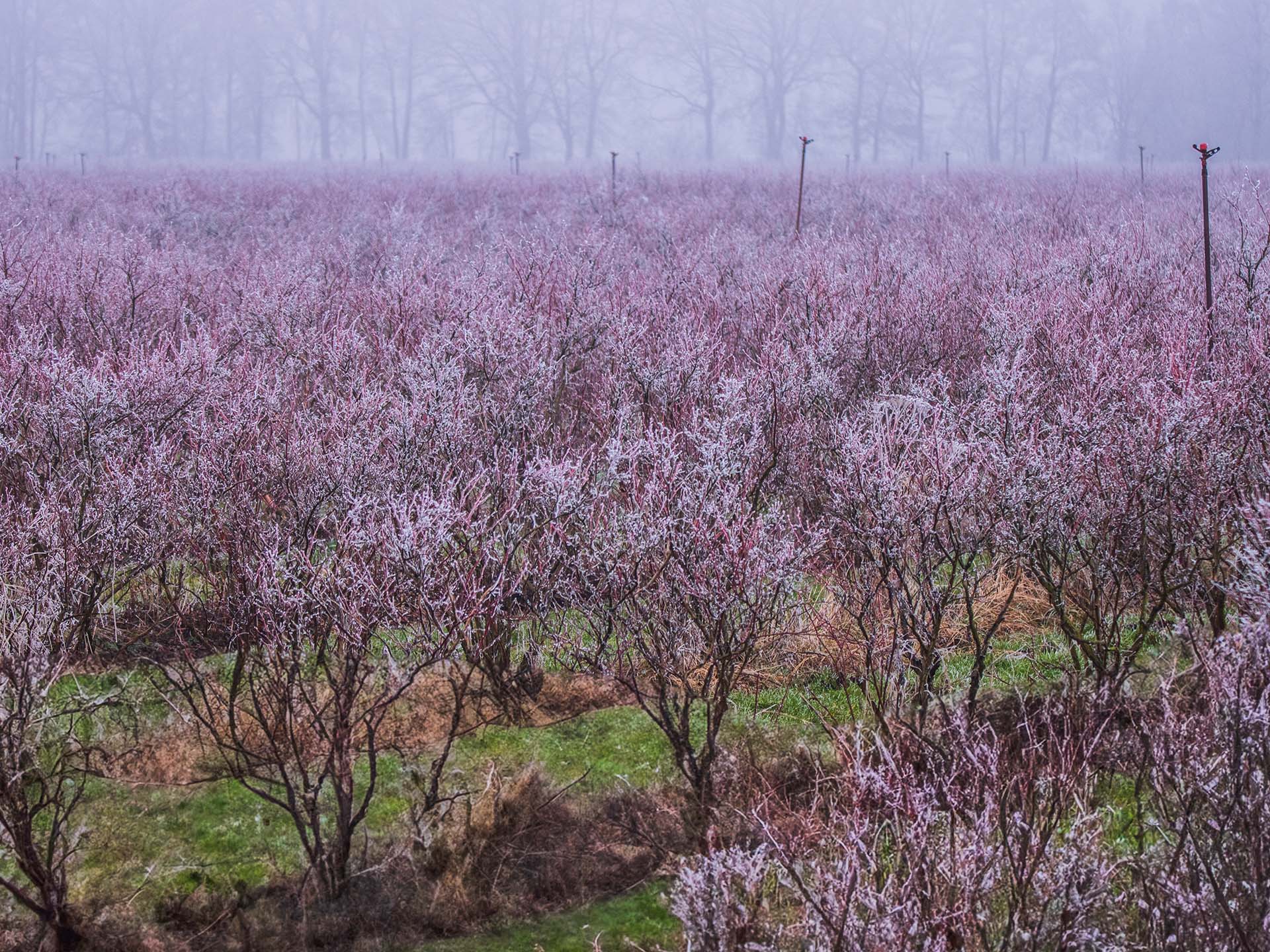 Februar: Winterimpressionen von Bärbel Hertrampf