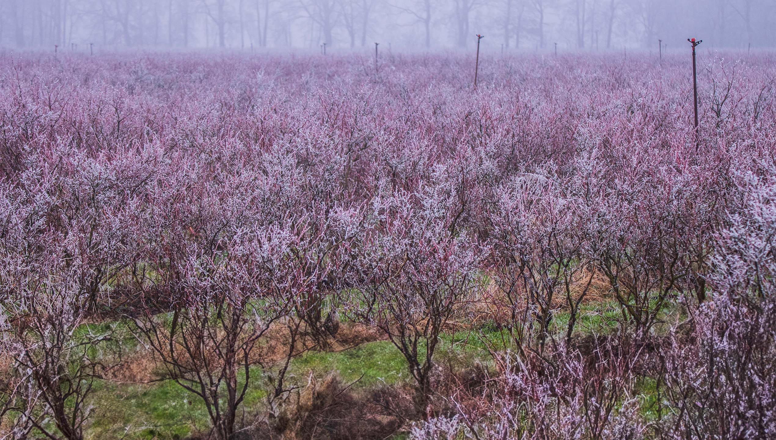 Februar: Winterimpressionen von Bärbel Hertrampf