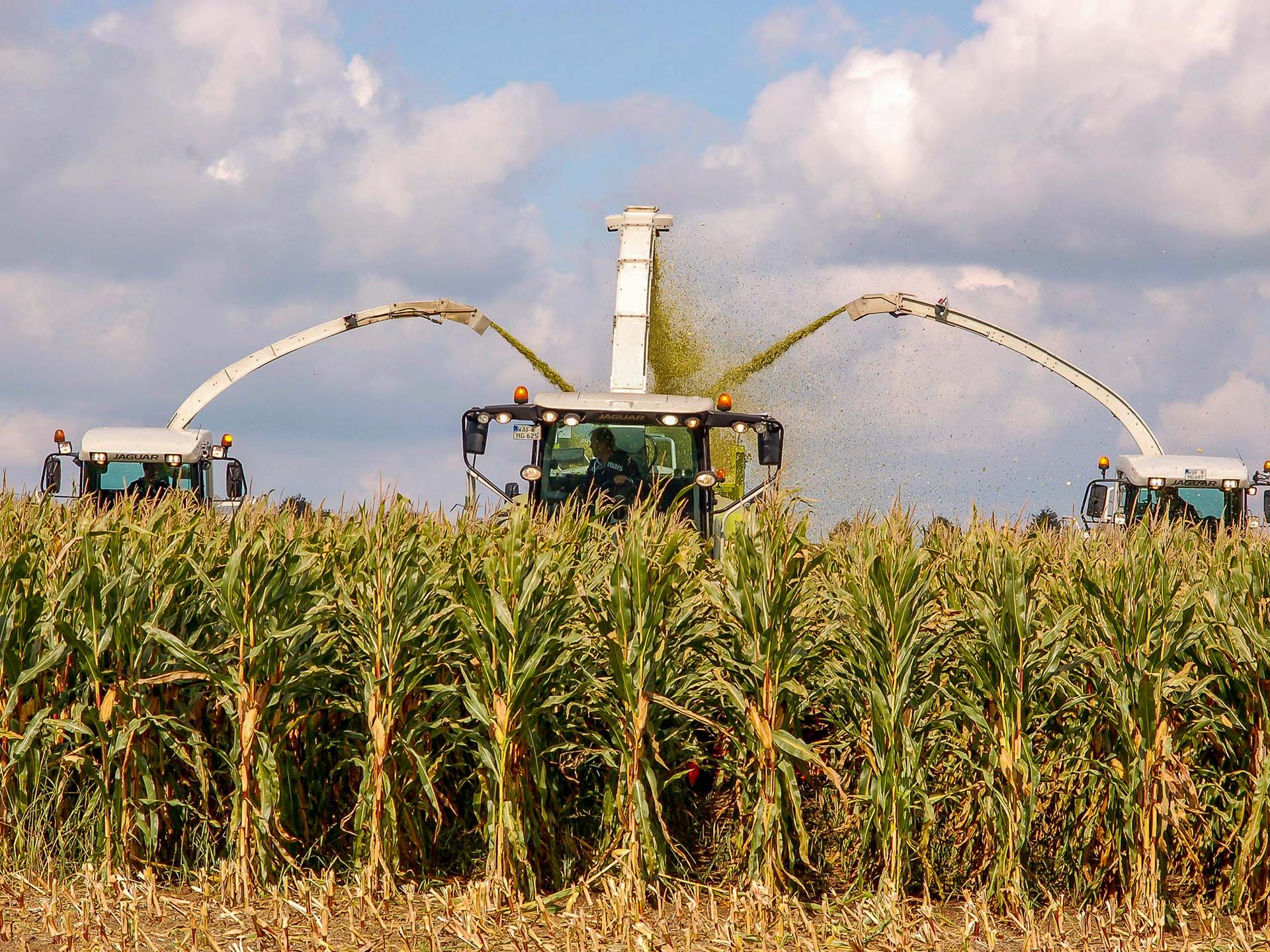 September: Hoffentlich reicht der Abfahrer bis zum Ende von Georg Oeding