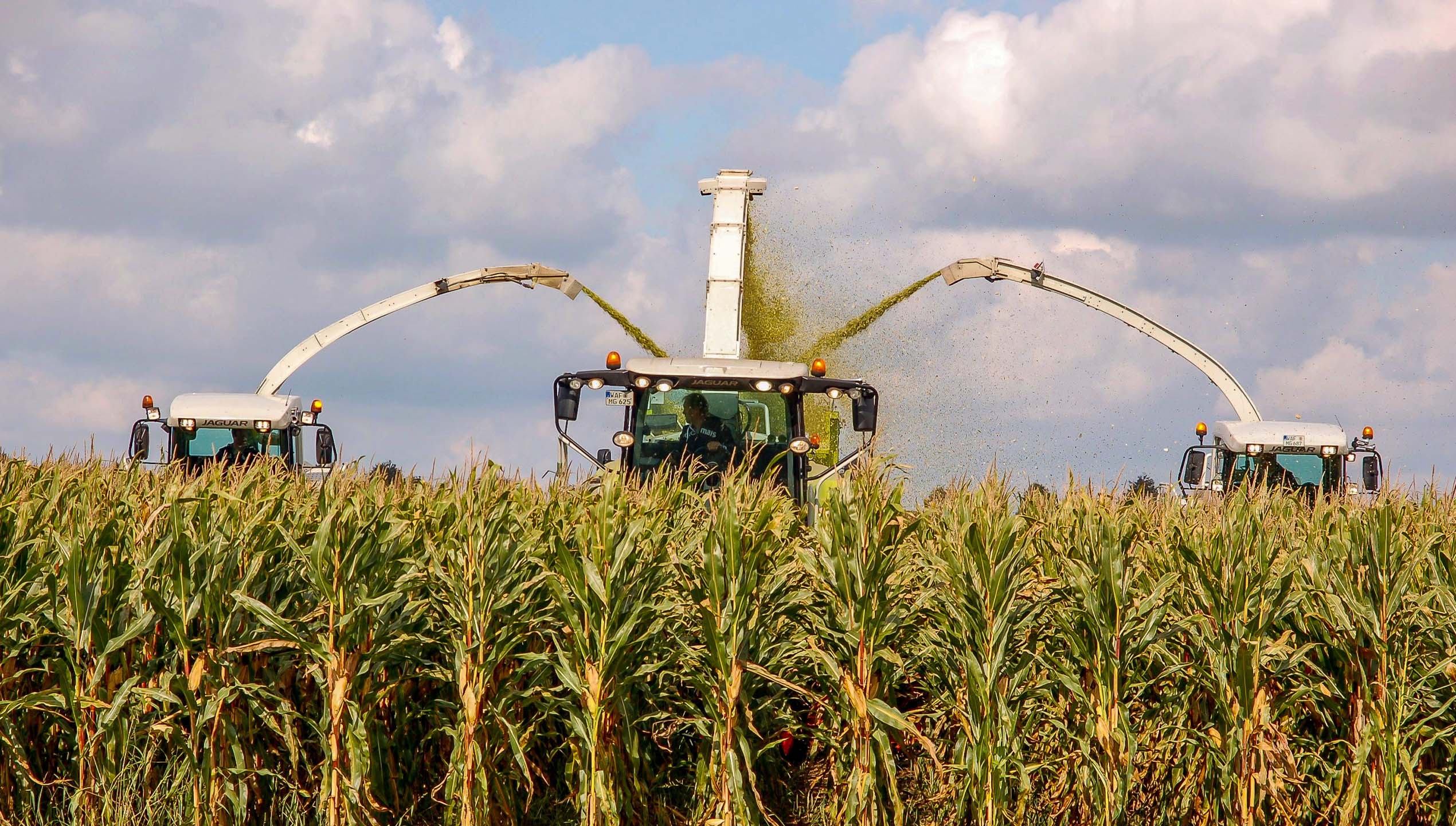September: Hoffentlich reicht der Abfahrer bis zum Ende von Georg Oeding
