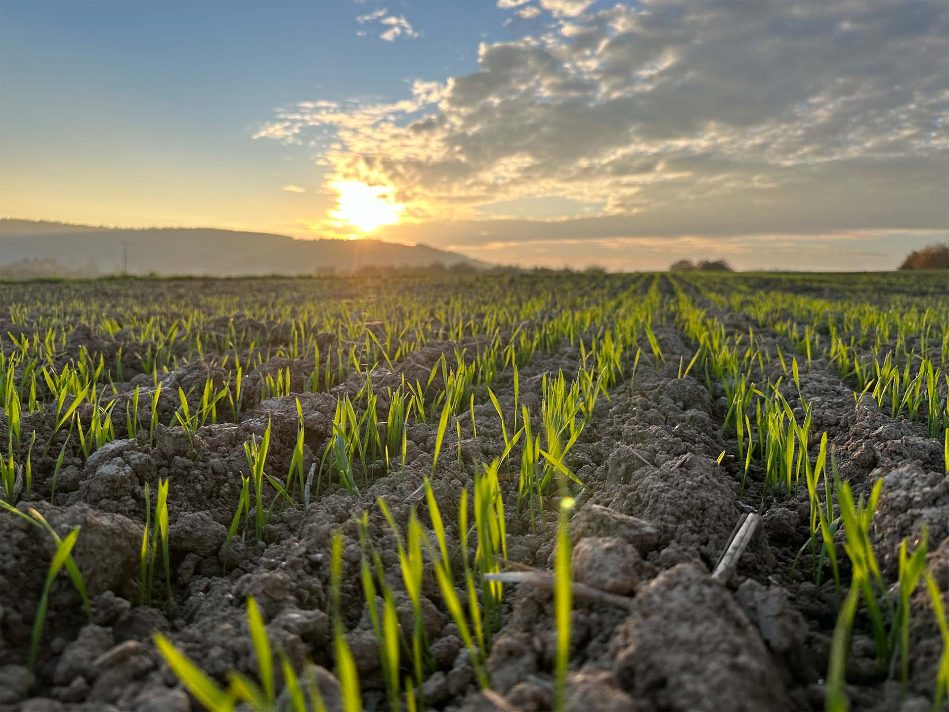 Oktober: Wir Bauern können grün von Roger