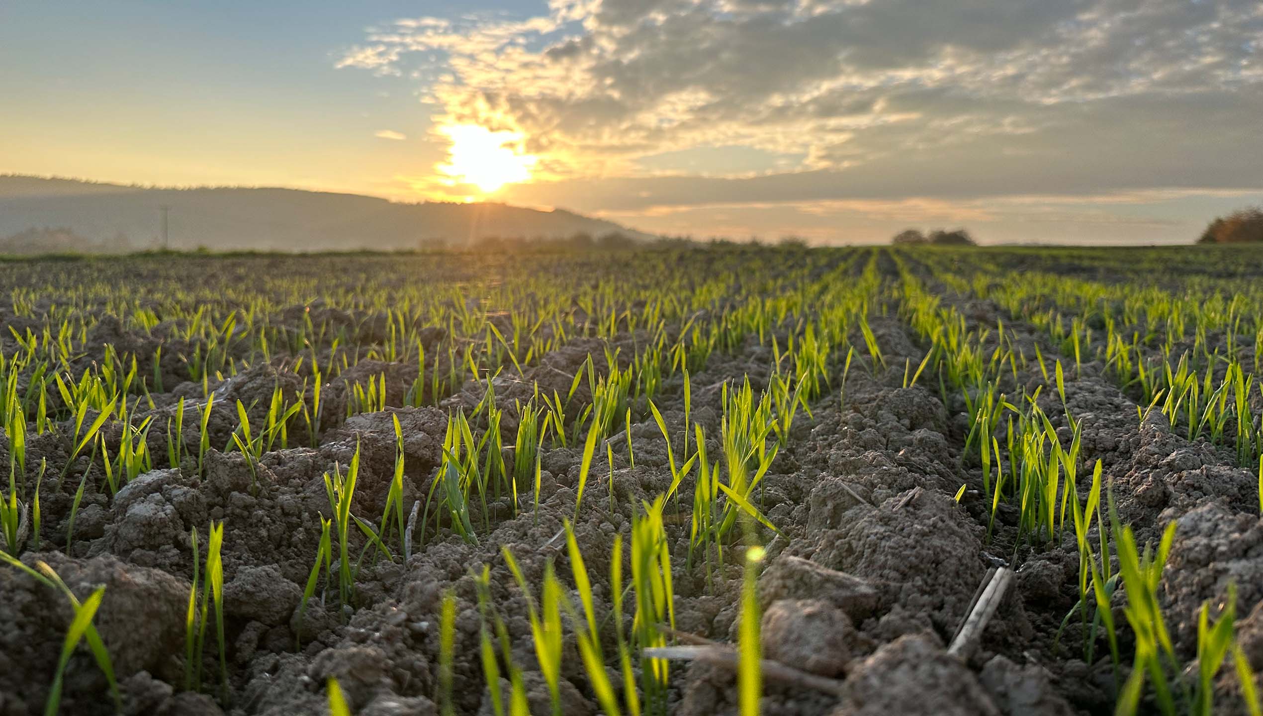 Oktober: Wir Bauern können grün von Roger