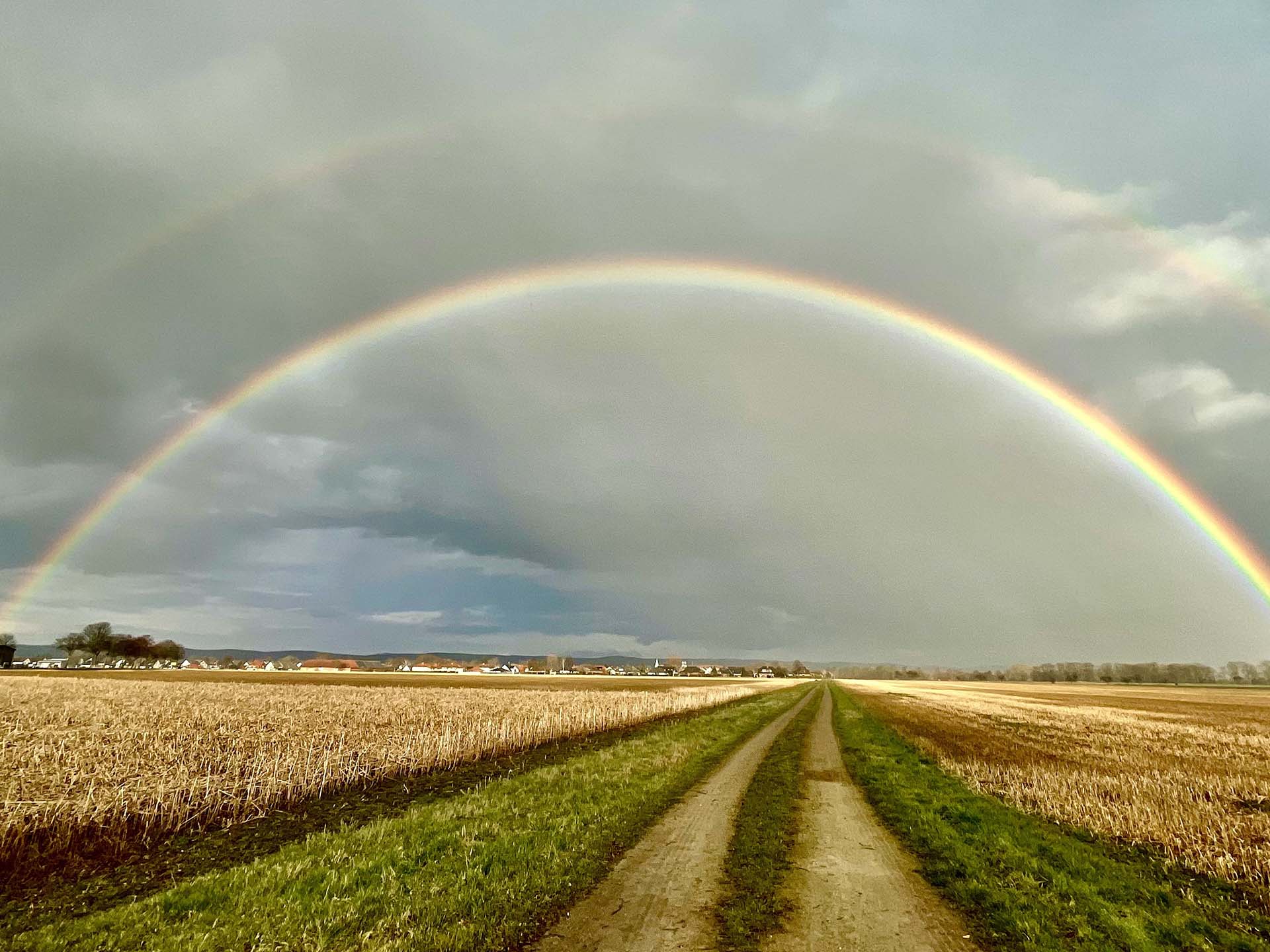 November: Topf voll Gold von Sina Korff