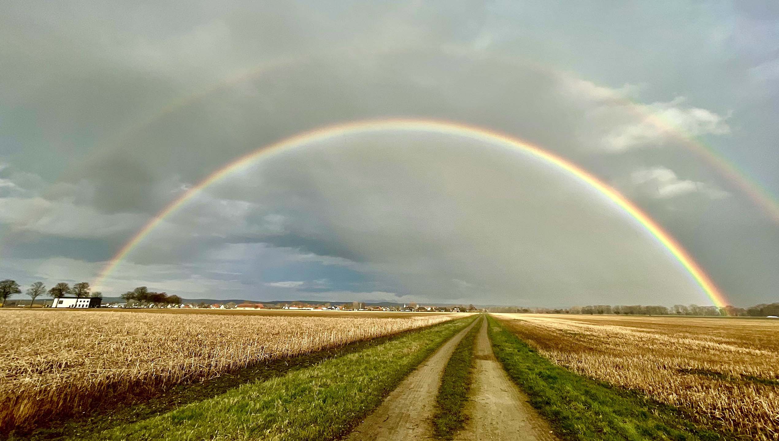 November: Topf voll Gold von Sina Korff