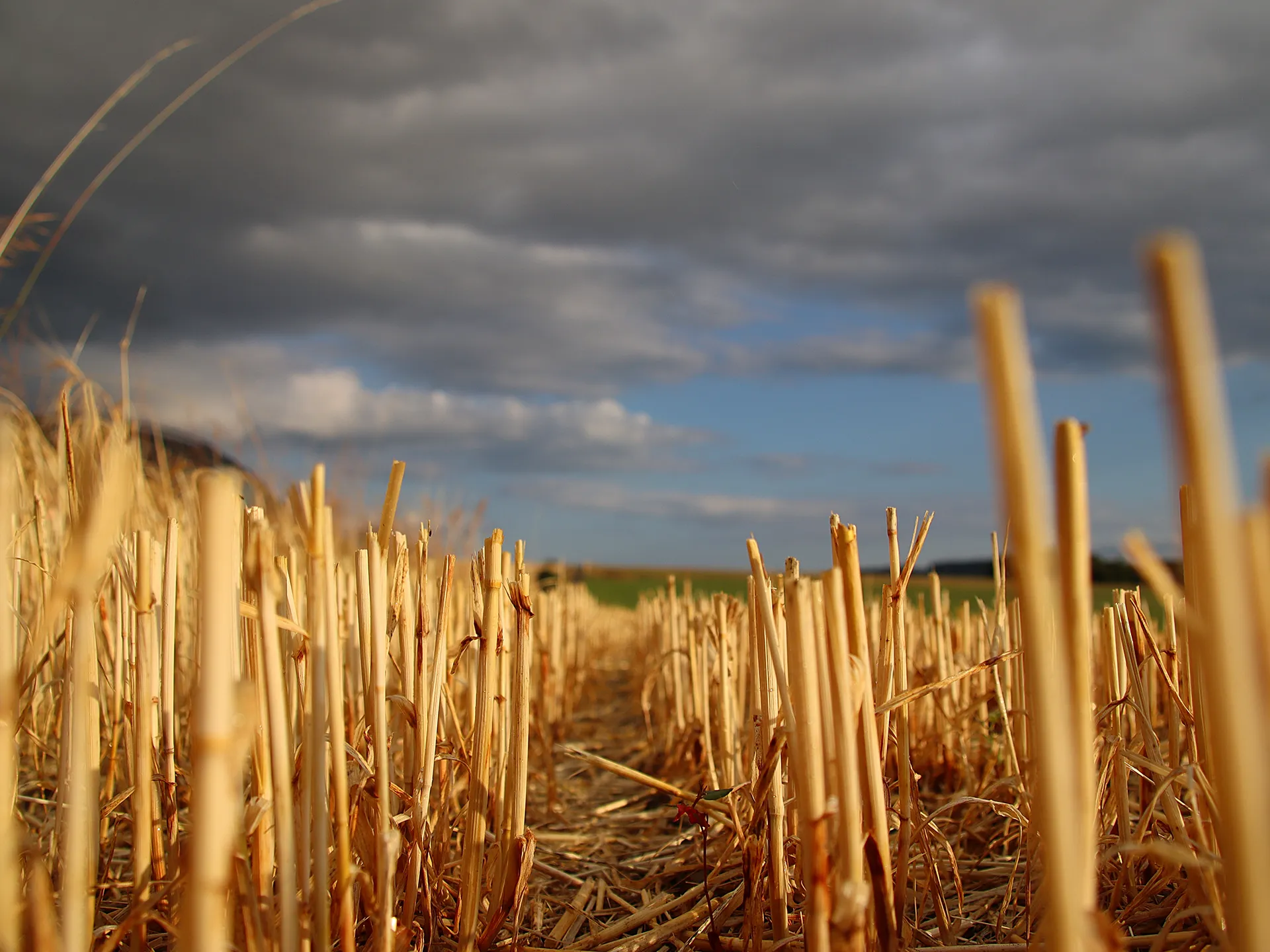 Juli: Landwirtschaftsromantik von Christoph Feigl