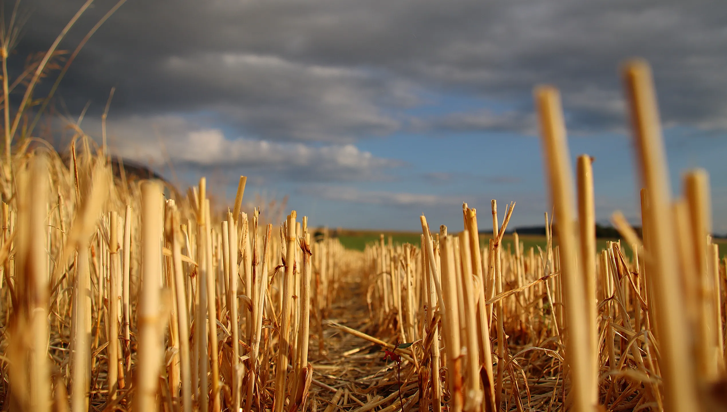 Juli: Landwirtschaftsromantik von Christoph Feigl