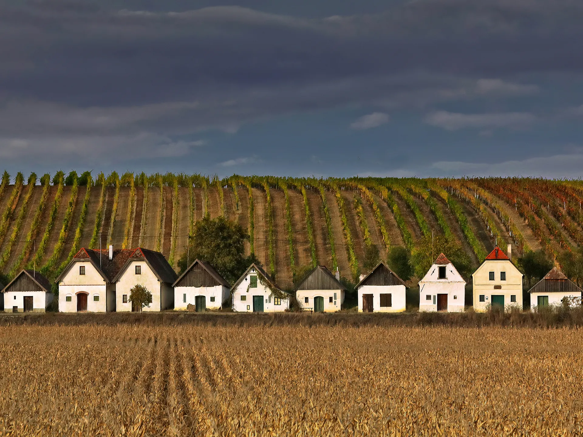 Oktober: Wetter von Sina Korff