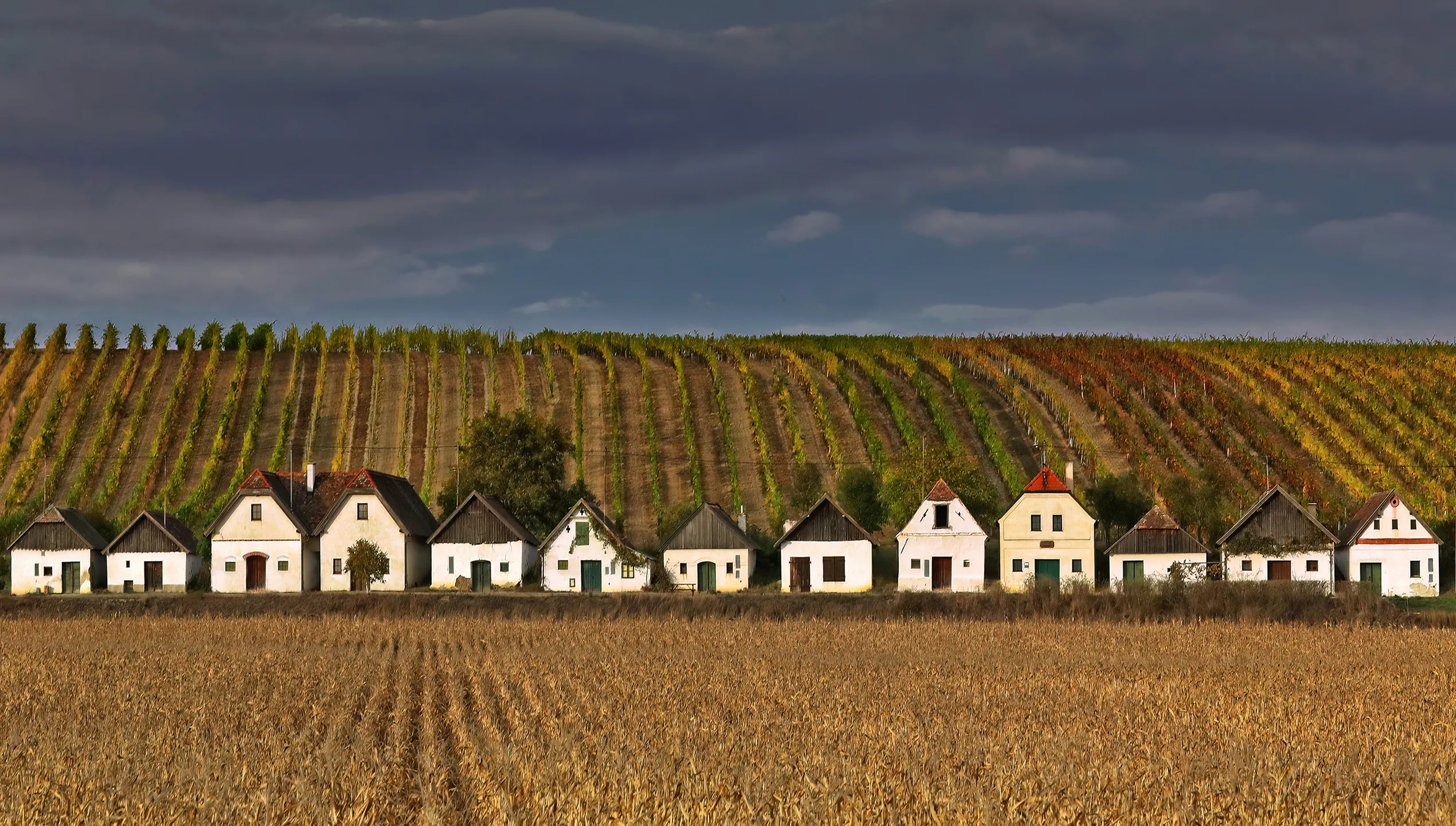 Oktober: Wetter von Sina Korff